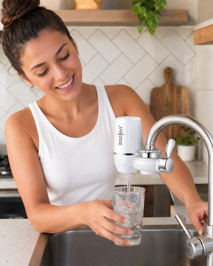 Filtro Purificador De Agua Domestico